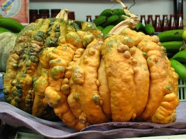 [mercado_duque_braganca_aboboras.jpg]