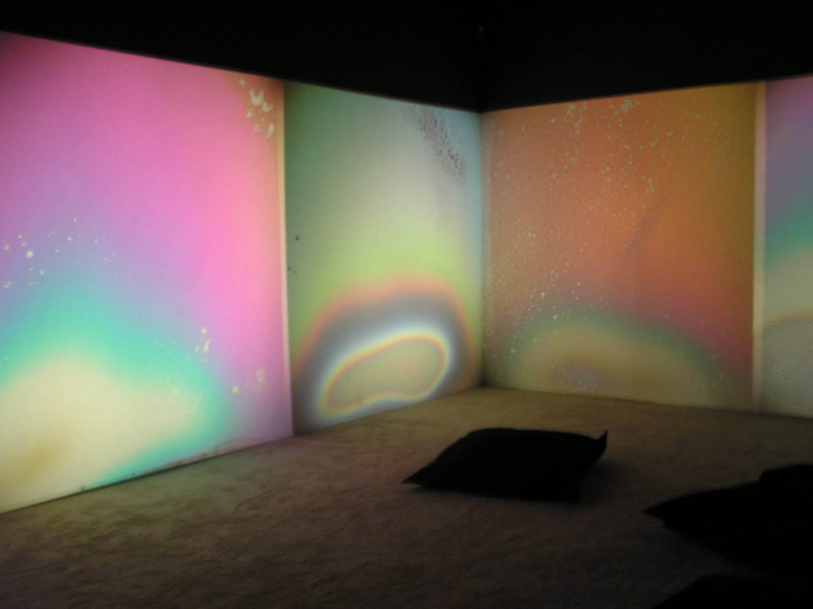 [expo+Gustav+Metzger+2010+Rochechouart+(13).JPG]