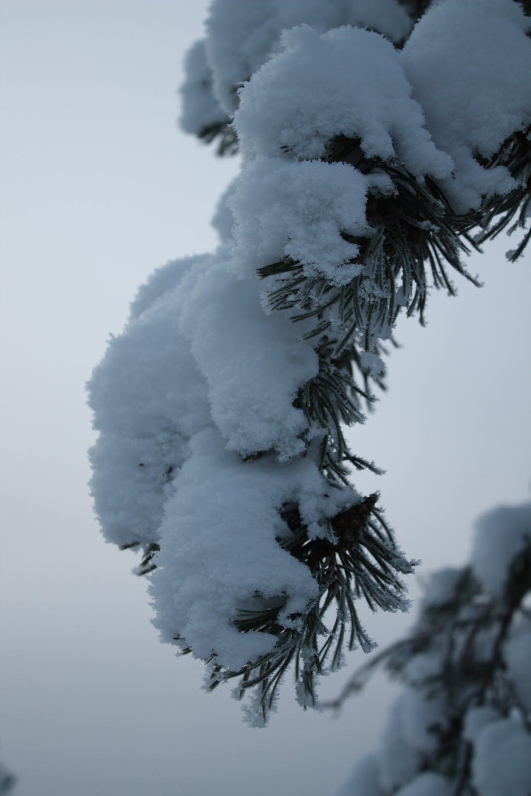 [IMG_3892.JPG]