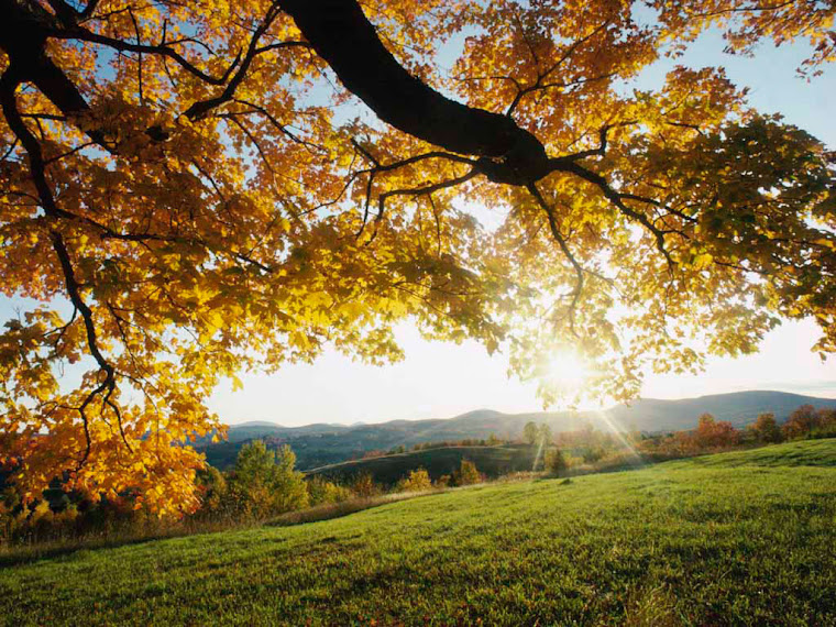 AUTUMN