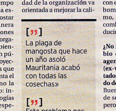 Contraportada de Diario de Burgos 13/03/07