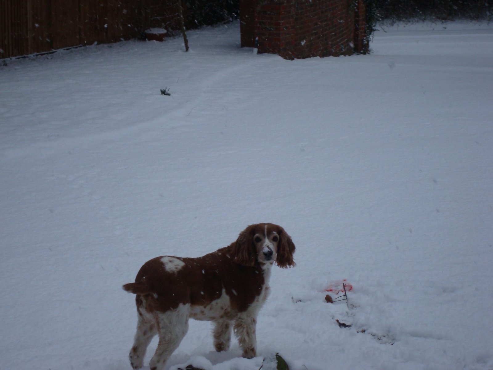 [February+Snow+Day+09+008.jpg]