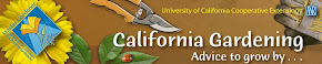 UC Davis -  California Gardening (great resource for Sacramento Valley gardeners)