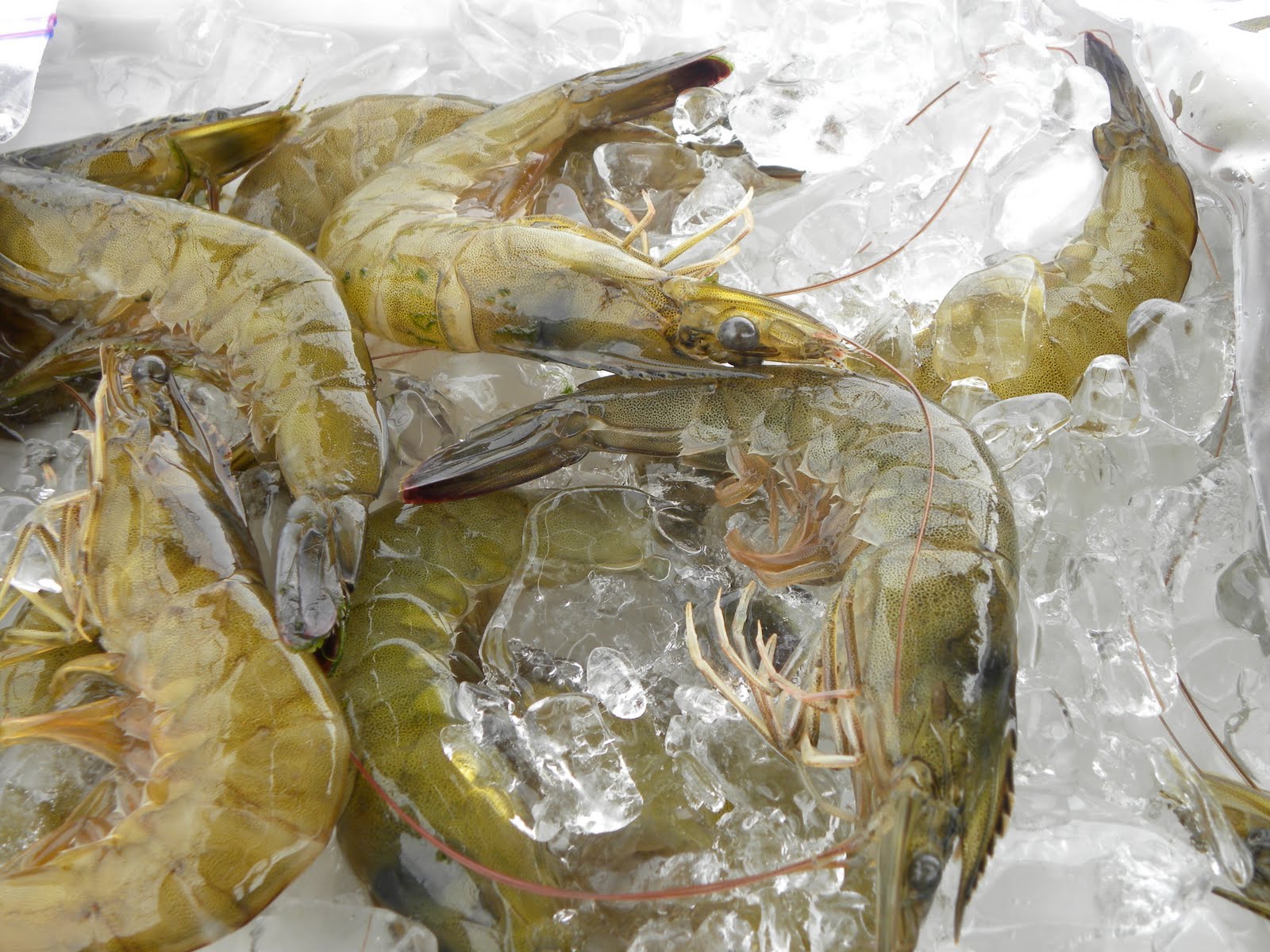 My Hawaiian Home Seafood Farmer's Market in Kona