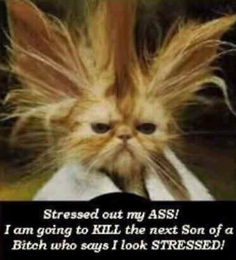 [stressed.jpg]