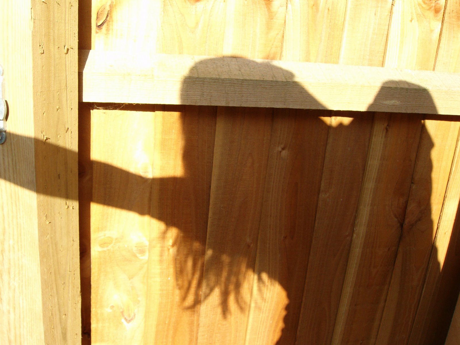 [Photovoice+035.jpg]