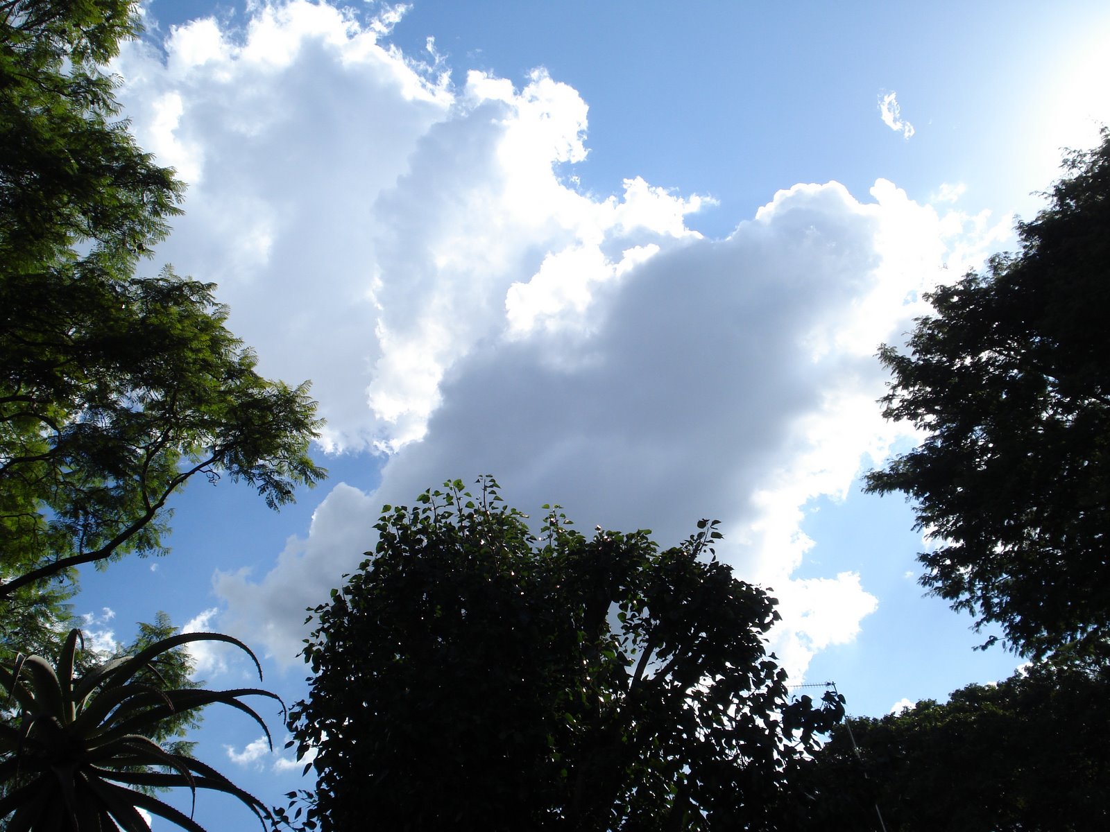 [DSC01197.JPG]