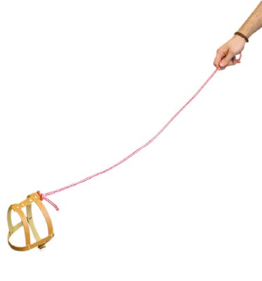 [24425_Invisible_Dog.jpg]
