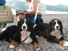 Trilli &Meghi in Corsica