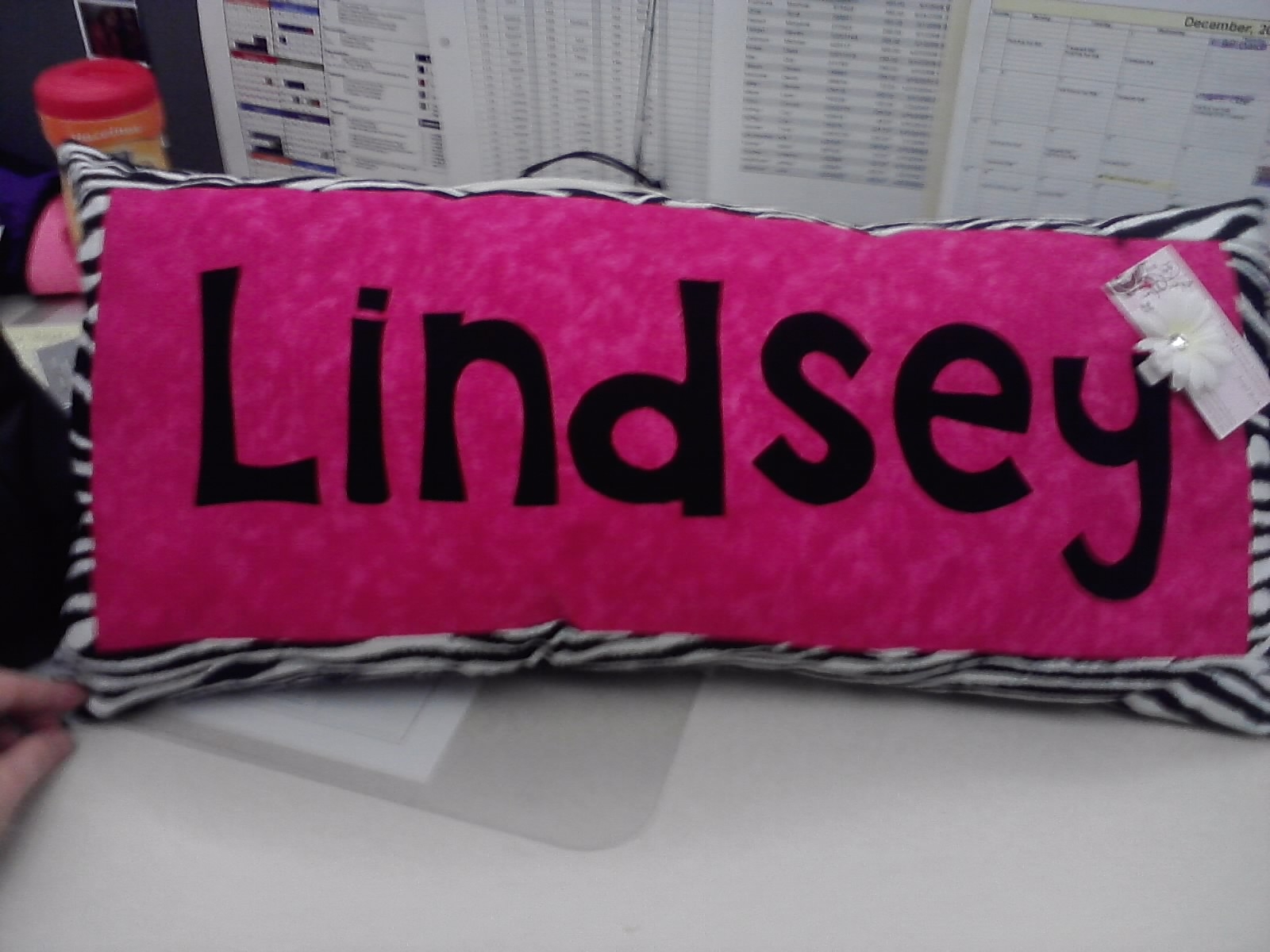 PUSH for Emerson Blogction Personalized Custom Name Pillow