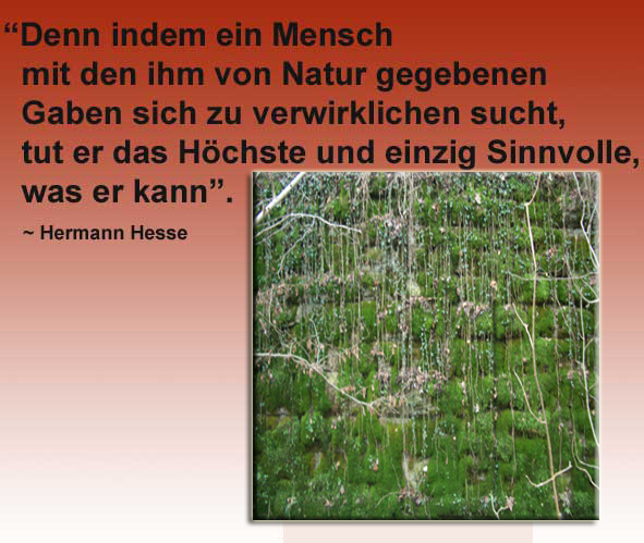 Berühmte Zitate Hermann Hesse Sprüche über Das Leben