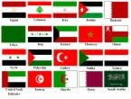 Arab countries flags