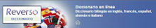 DICCIONARIO DE IDIOMAS