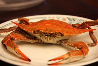 The Resident Kitchen: Steamed Blue Claw Crabs