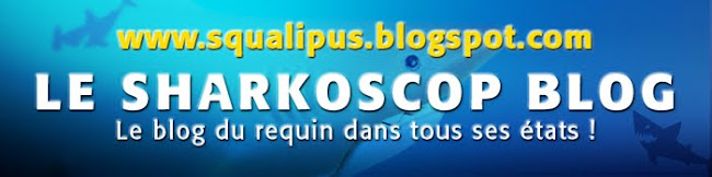 www.squalipus.blogspot.com