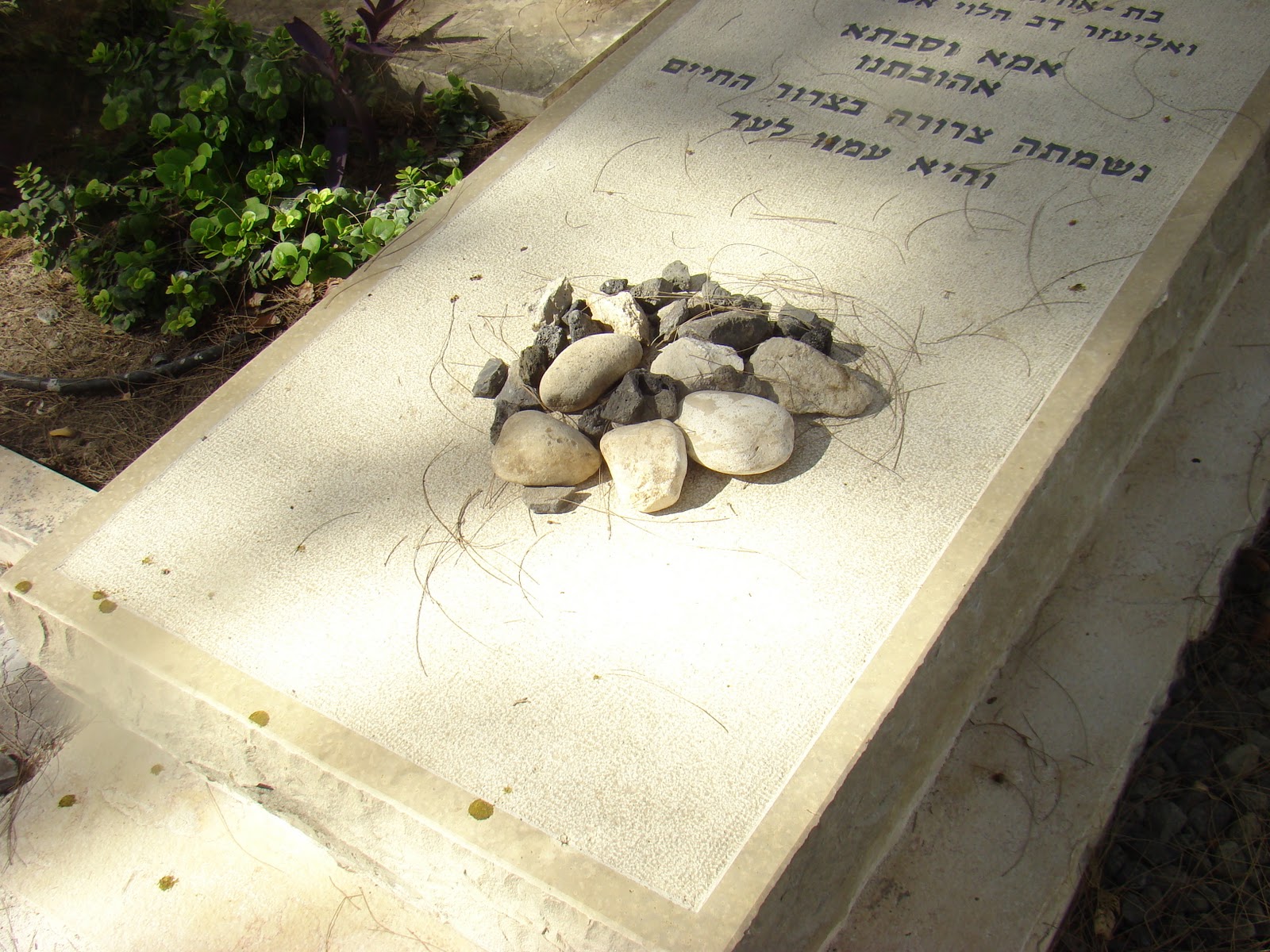 PazzaPazza GRAVESTONES STONES ON GRAVES