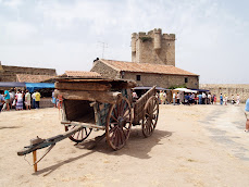 Carros y castillo de San Felices de los Gallegos