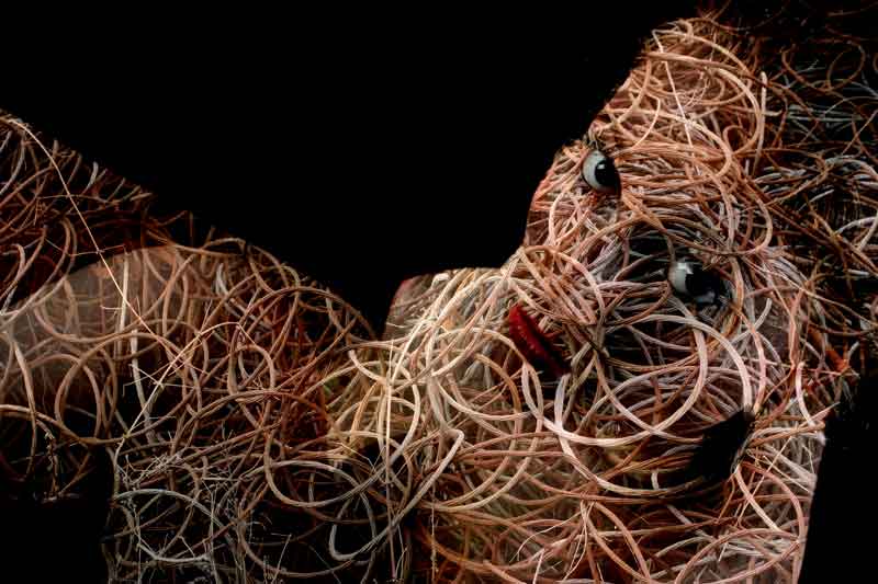 [IMG_3201-copia.jpg-rtrt-df.jpg]