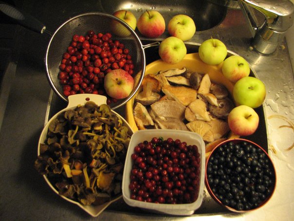 [cornucopia.jpg]