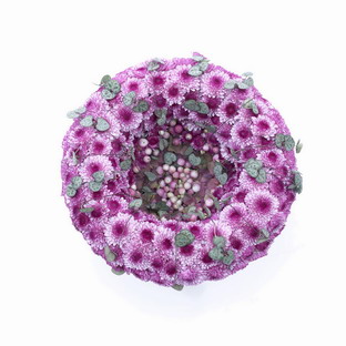 [none-chrysanthemum-Sjacco+Gerritsen-bowl+of+happiness03.jpg]
