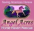 Angel Acres Horse Haven Rescue