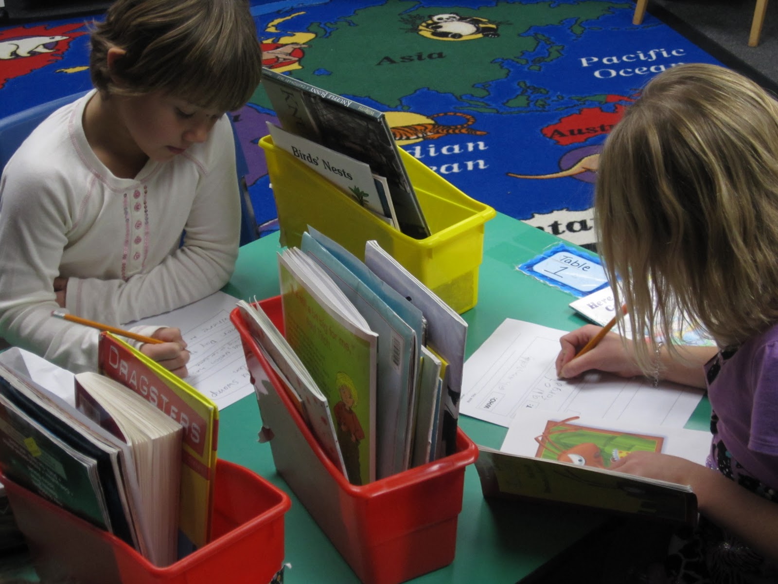 Life in the Second Grade