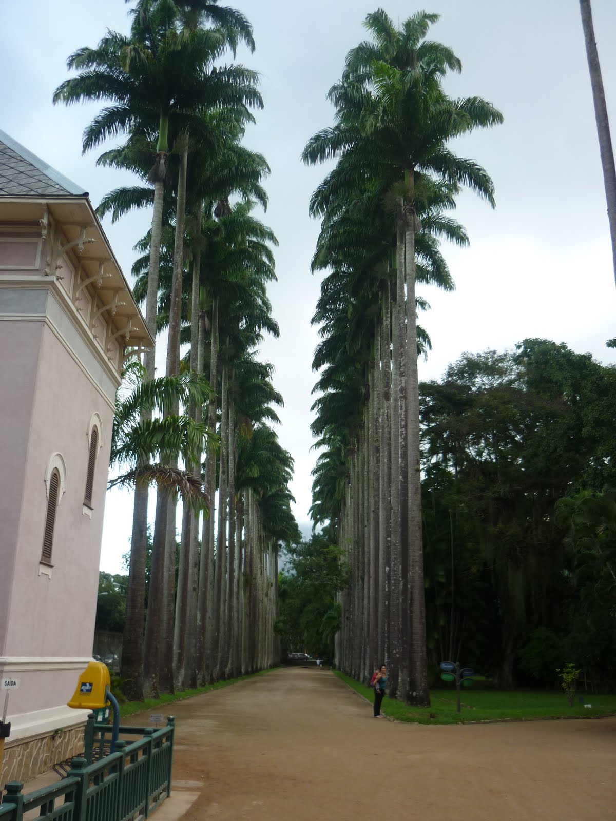 Parenthèse argentine Rio de Janeiro Le Jardin Botanique