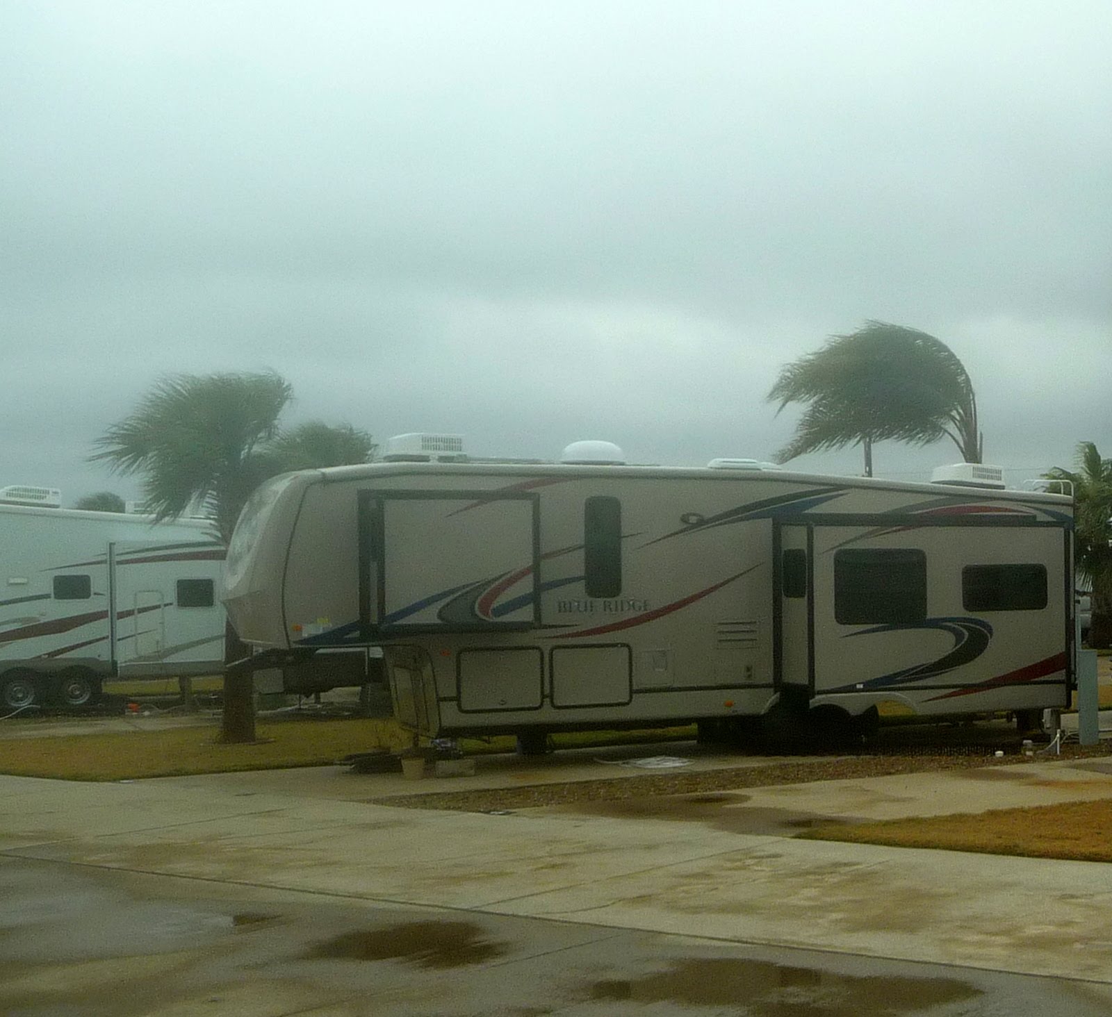 IN THE WIND Adventures of... Mary Ann and William Bent Palm Trees