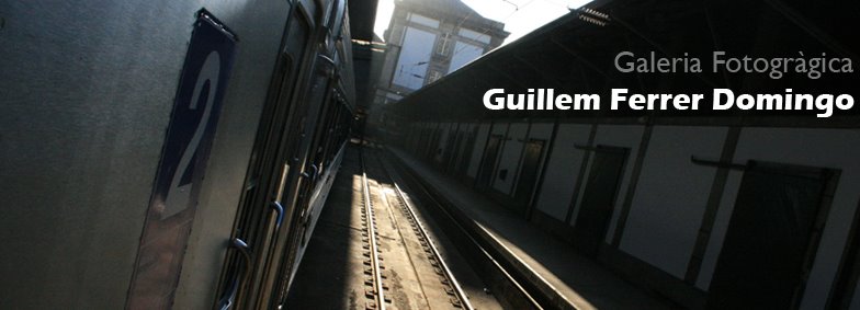 galeriaguillemfd.blogspot.com