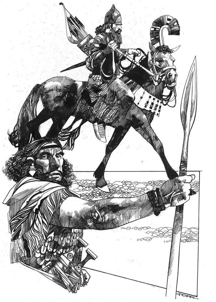 Toppi Toppi