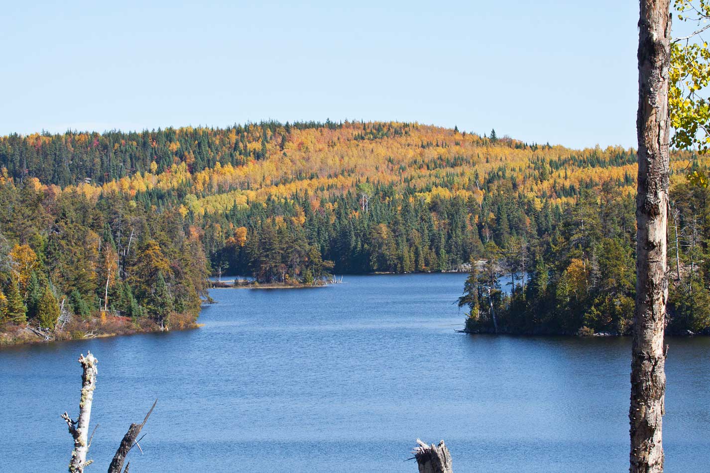 Gowganda Views Duncan Lake fall colours