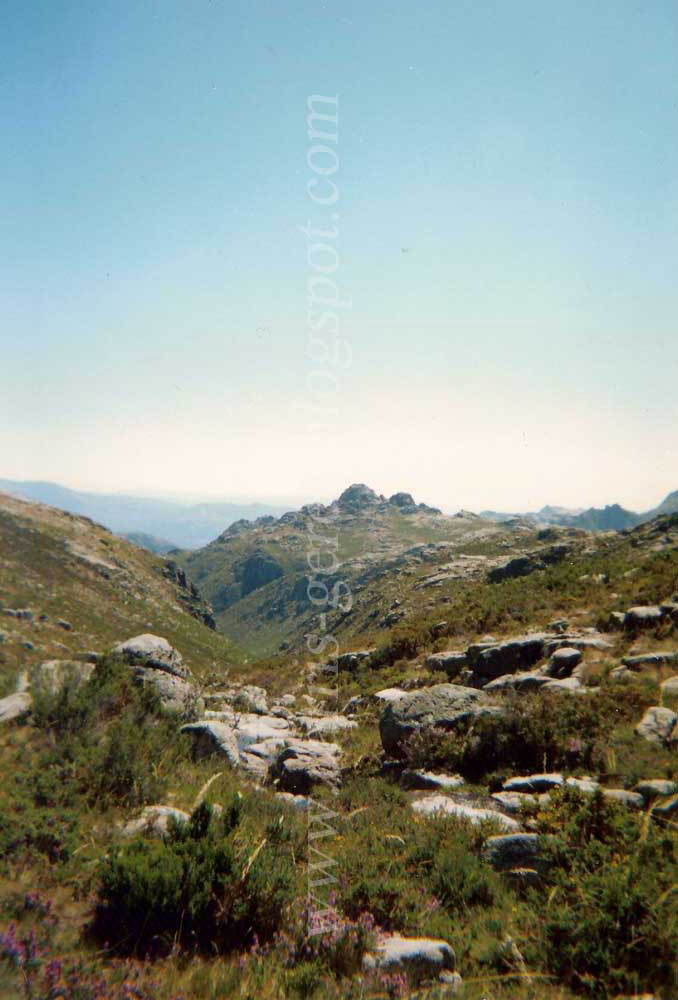 [Carris+14Ago94+03a.jpg]