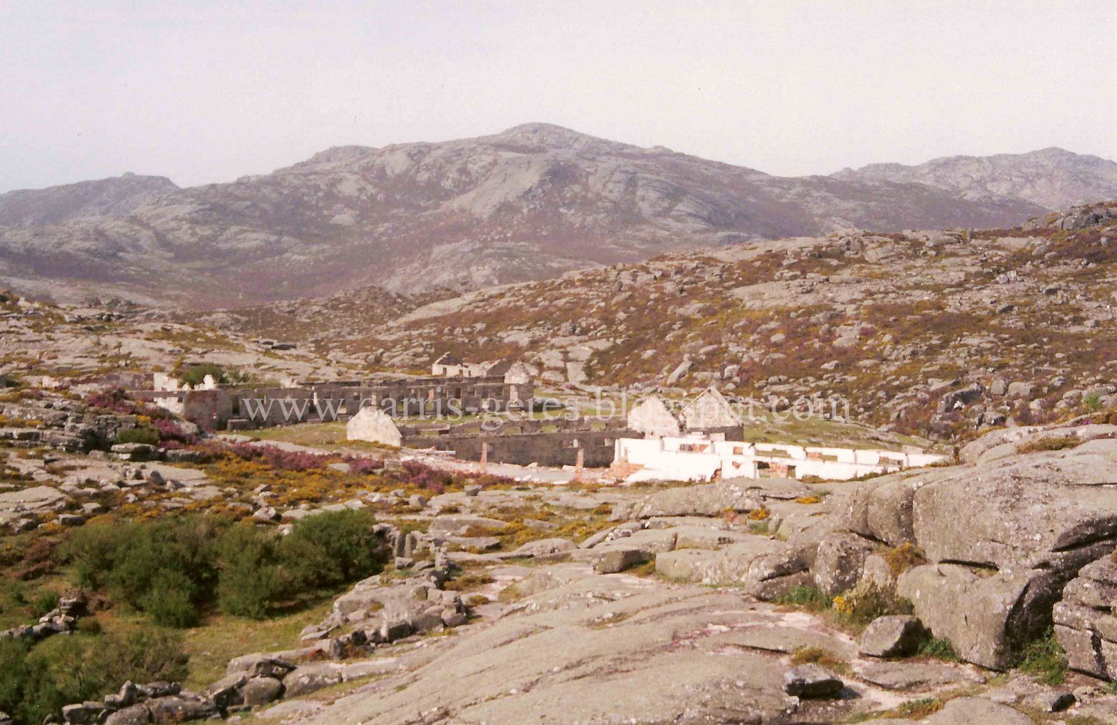 [Carris+02-06-02+08+blogue.jpg]