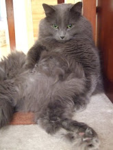 My Cat-Jabba The Hut pose..