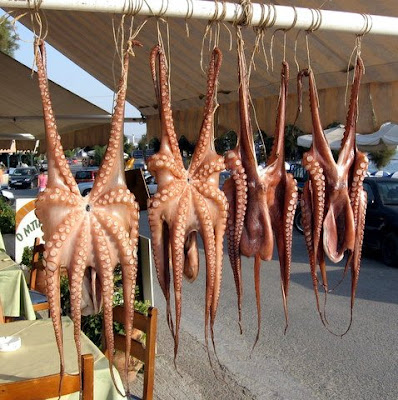 drying octopus