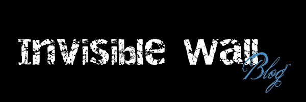 Invisible Bricks about Invisible Wall