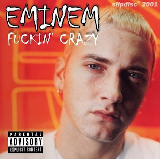 Eminem Fucking Crazy 11