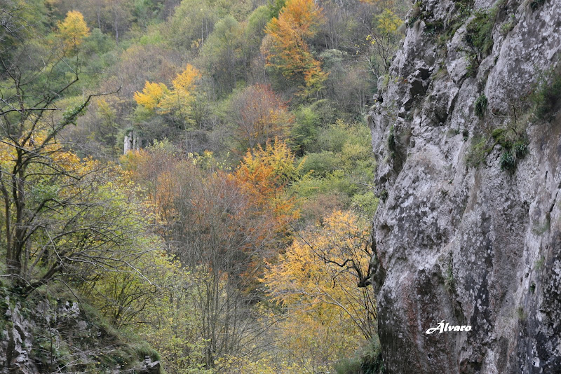Senderismo y rutas de montaña Desfiladero de las Xanas