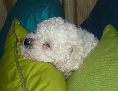Milou01.jpg