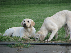 The Girls~~~~Butter & Pearl