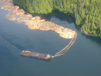 cerca de la frontera con Alaska : Prince Rupert - Recorrido por el Oeste de Canada en Autocaravana (6)