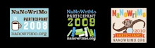 Nanowrimo - 3 Years