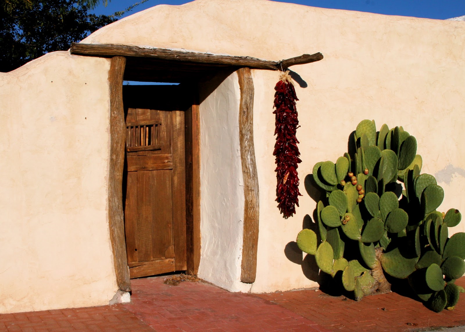 Shelly Norton Photography A Few Reasons I'm Loving New Mexico