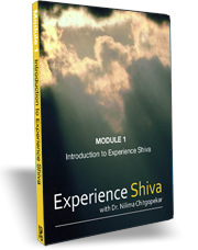 Experience Shiva