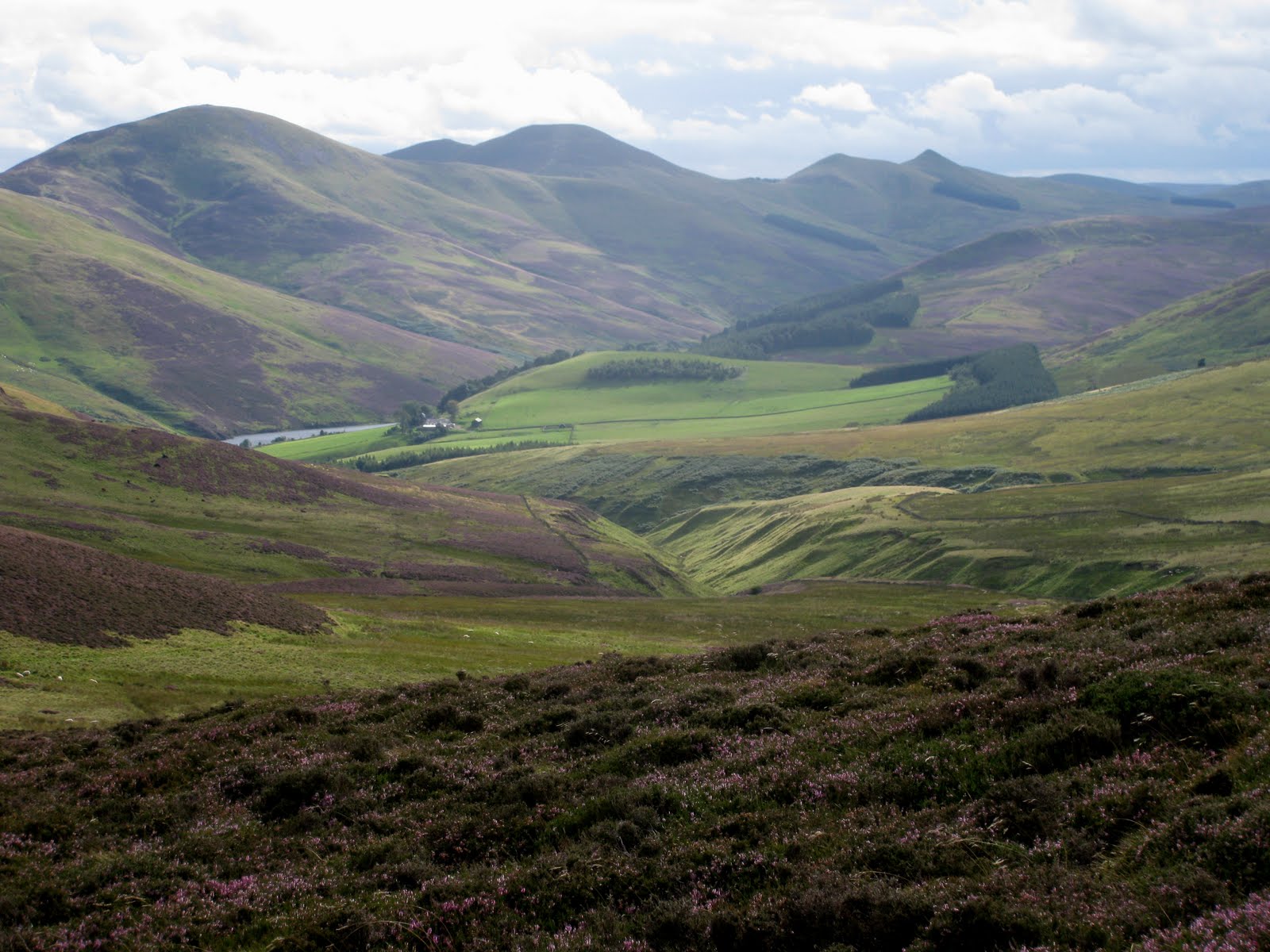 Hillways Late Summer on the Pentlands