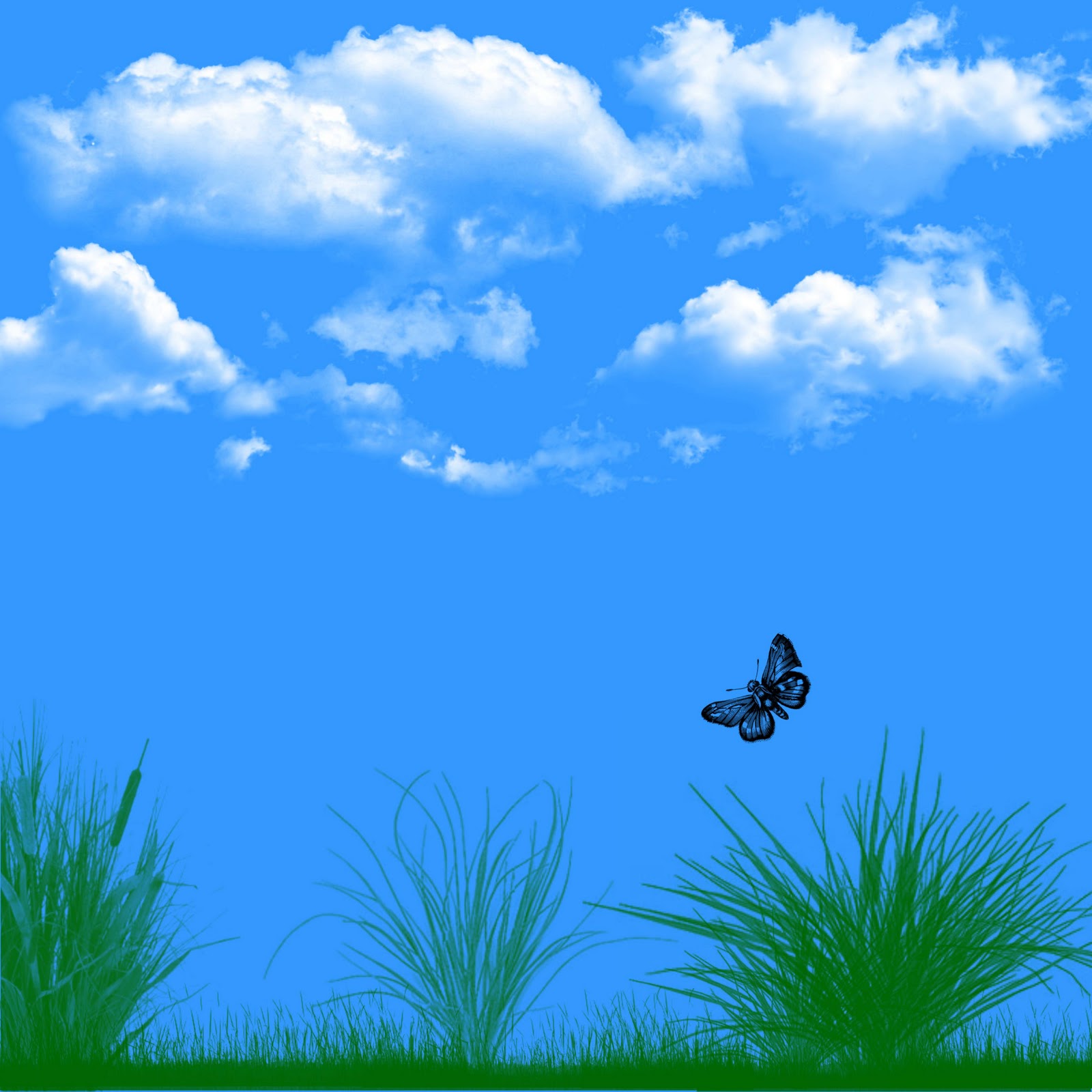 MyNeed2Craft by Terri Deavers: First Attempt at Adobe Photoshop
