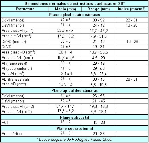 Cardio Apuntes Cardiología