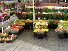 Flower Stalls in Market Square