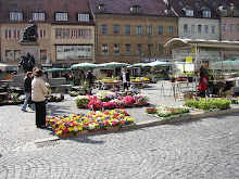 Flowers for Sale