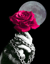 un sueño escrito a través de una rosa oscura